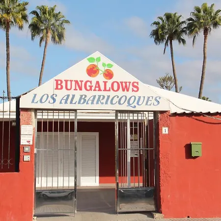 Albaricoques Vivac Nyaraló San Bartolomé