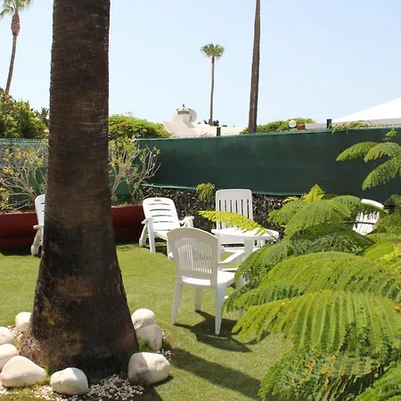 Albaricoques Vivac Tatil Evi