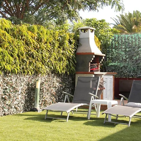 Albaricoques Vivac Tatil Evi