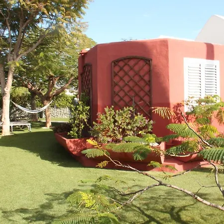 Albaricoques Vivac Tatil Evi